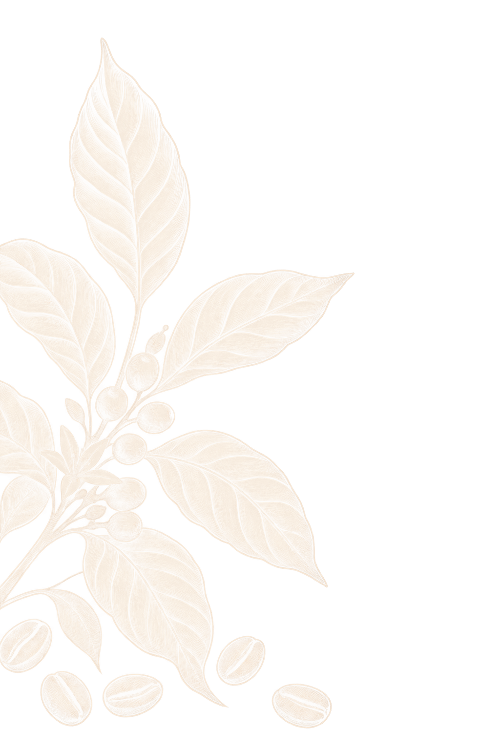 bg-20