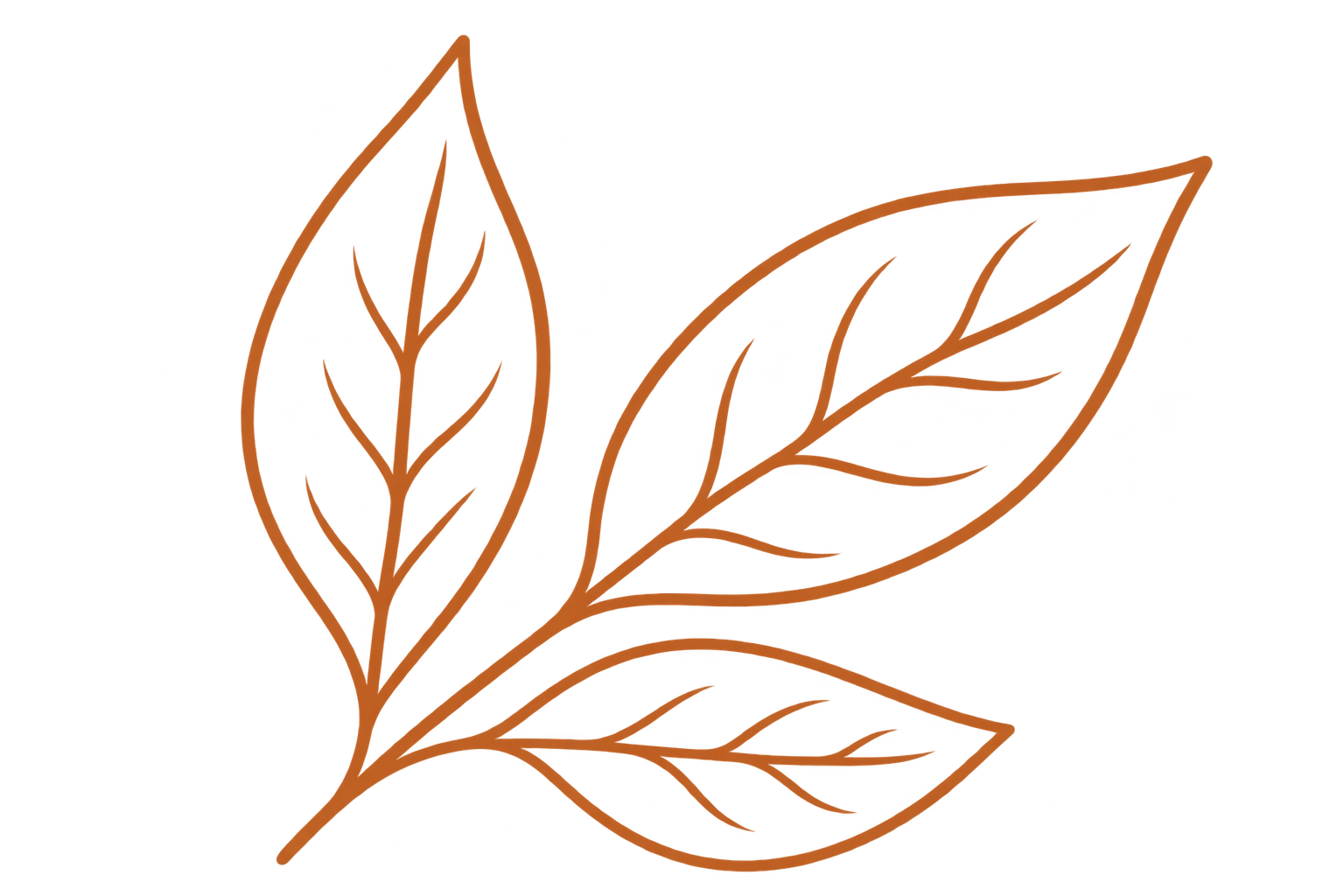 leaf