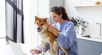 Vaccination Guide: Protecting Your Pet the Right Way