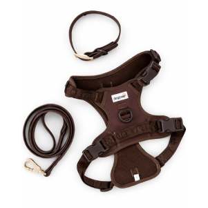 Dog Bandana with Name Tag