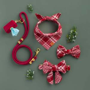 Holiday Plaid Pup Gift Set